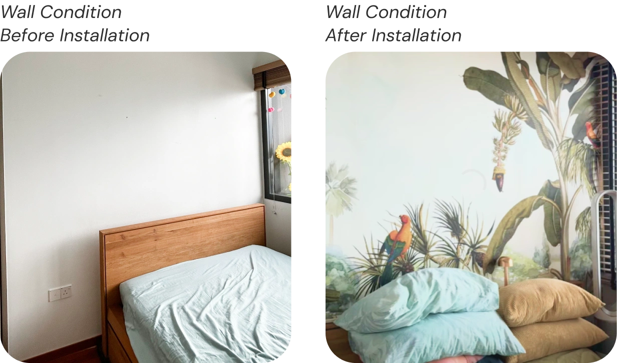 Before and After Wall Condition jungle Wallpaper